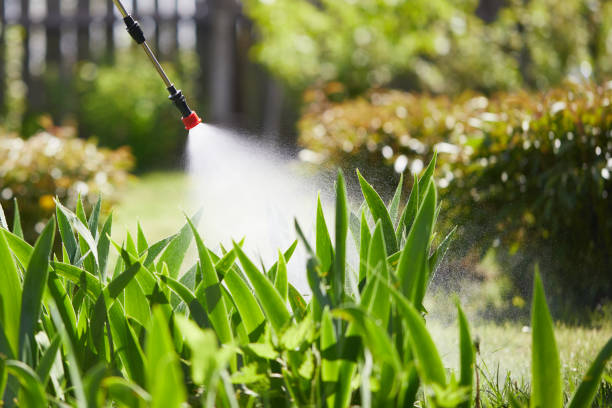 24/7 Emergency Fumigation Services experts in Comstock Park, MI